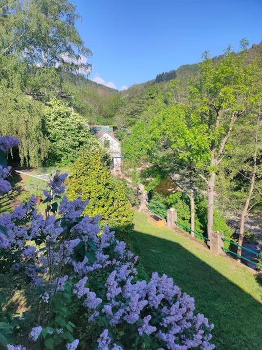 Le Secret Du Moulin, Agreable Tiny House Villefort Villefort  Exteriör bild